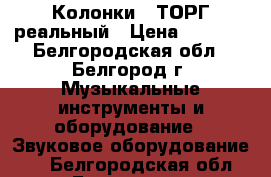 Колонки . ТОРГ реальный › Цена ­ 1 000 - Белгородская обл., Белгород г. Музыкальные инструменты и оборудование » Звуковое оборудование   . Белгородская обл.,Белгород г.